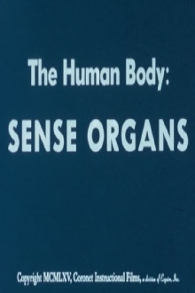 The Human Body: Sense Organs Trailer