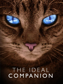 The Ideal Companion Trailer