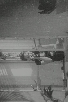The Ill-Fated Flower Trailer