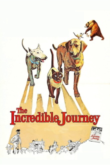 The Incredible Journey Trailer