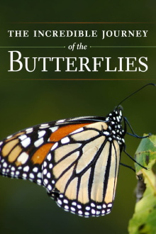 The Incredible Journey of the Butterflies Trailer