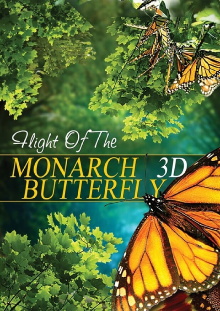 The Incredible Journey of the Monarch Butterfly Trailer