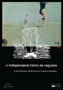 The Indispensable Practice of Vagueness Trailer