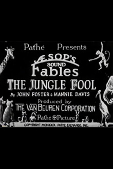 The Jungle Fool Trailer
