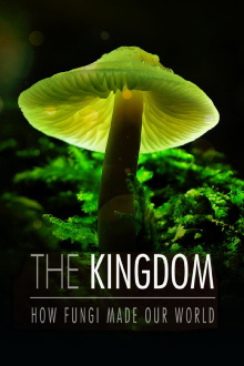 The Kingdom: How Fungi Made Our World Trailer