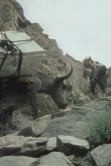 The Kirghiz of Afghanistan Trailer