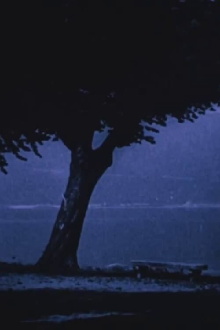 The 'Lago Maggiore' Picturesque Trailer