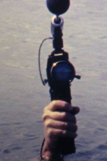 The Lake Trailer