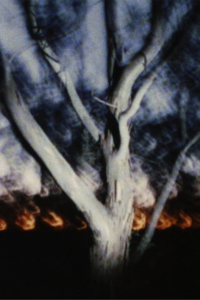 The Land at Night Trailer