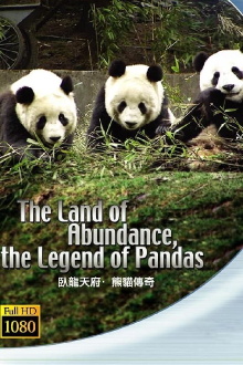 The Land Of Abundance The Legend Of Pandas Trailer