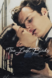 The Last Birds Trailer