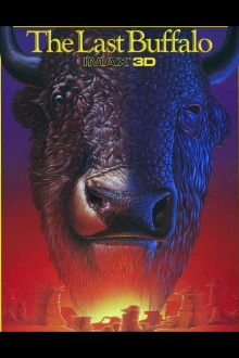 The Last Buffalo Trailer