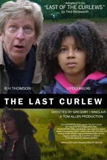 The Last Curlew Trailer
