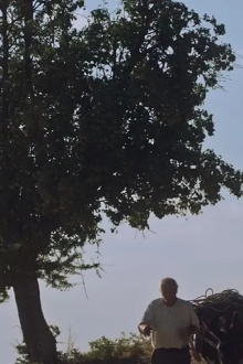 The last donkey Trailer