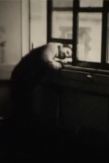 The Last Films of Humphrey Esterhase Trailer