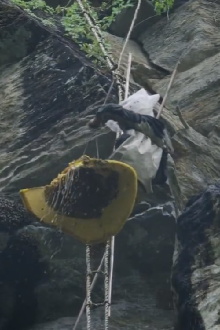 The Last Honey Hunter Trailer