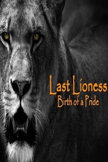 The Last Lioness: Birth of a Pride Trailer