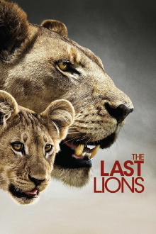 The Last Lions Trailer