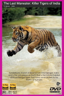The Last Maneater: Killer Tigers of India Trailer