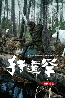 The Last Moose Of Ao Lu Gu Ya Trailer