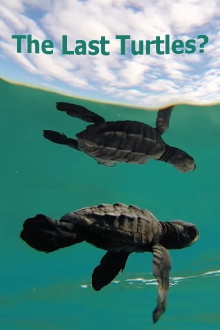 The Last Turtles? Trailer