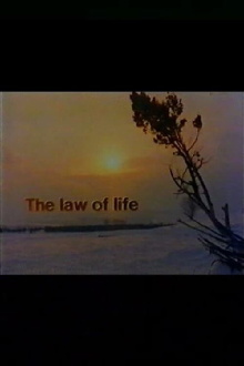 The Law of Life Trailer