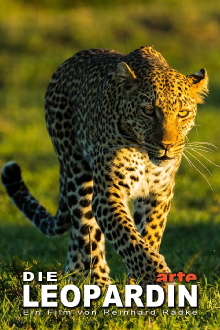 The Leopardess Trailer