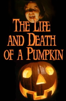 The Life and Death of a Pumpkin Trailer