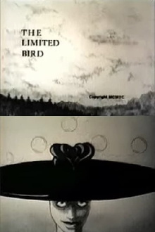 The Limited Bird Trailer
