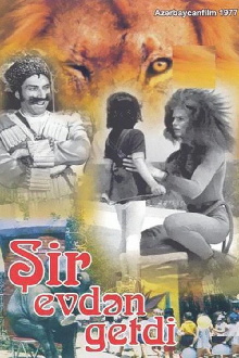 The Lion Ran Away from the House Trailer