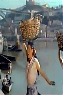 The Little Bird of Ribeira Trailer