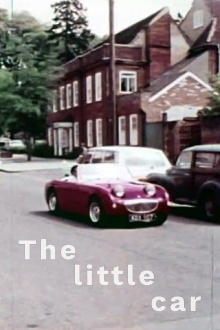 The Little Car Trailer