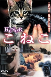 The Little Cat Trailer