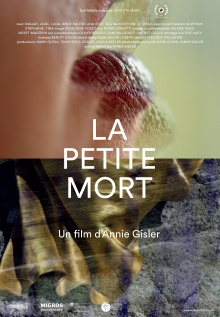 The Little Death Trailer