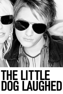 The Little Dog Laughed Trailer