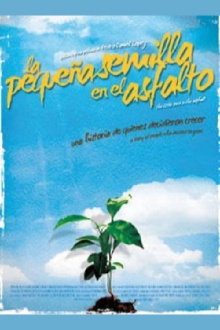 The Little Seed on the Asphalt Trailer