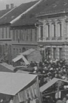 The Ljutomer Fair Trailer