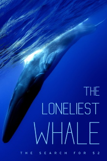 The Loneliest Whale: The Search for 52 Trailer