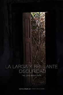 The Long Bright Dark Trailer