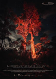 The Lost Memories Of Trees Trailer