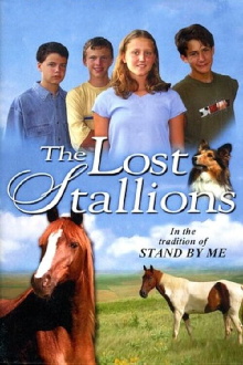 The Lost Stallions Trailer