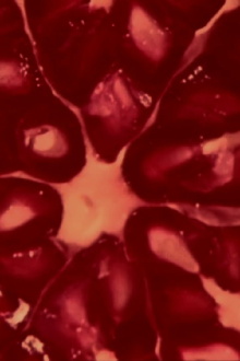 The Love of the Three Pomegranates Trailer