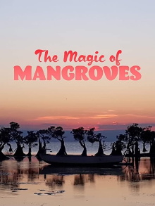 The Magic of Mangroves Trailer