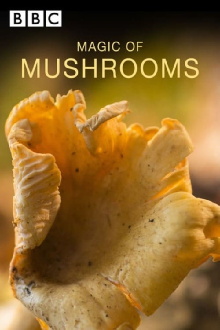 The Magic of Mushrooms Trailer
