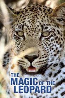The Magic of the Leopard Trailer