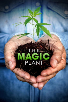 The Magic Plant Trailer