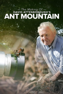 The Making of David Attenborough's Ant Mountain Trailer