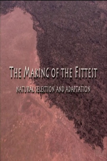 The Making of the Fittest: Natural Selection and Adaptation Trailer
