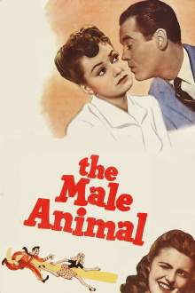 The Male Animal Trailer