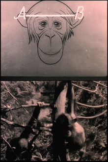 The Man and the Monkey Trailer